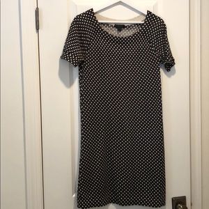J Crew Collection S knit dress